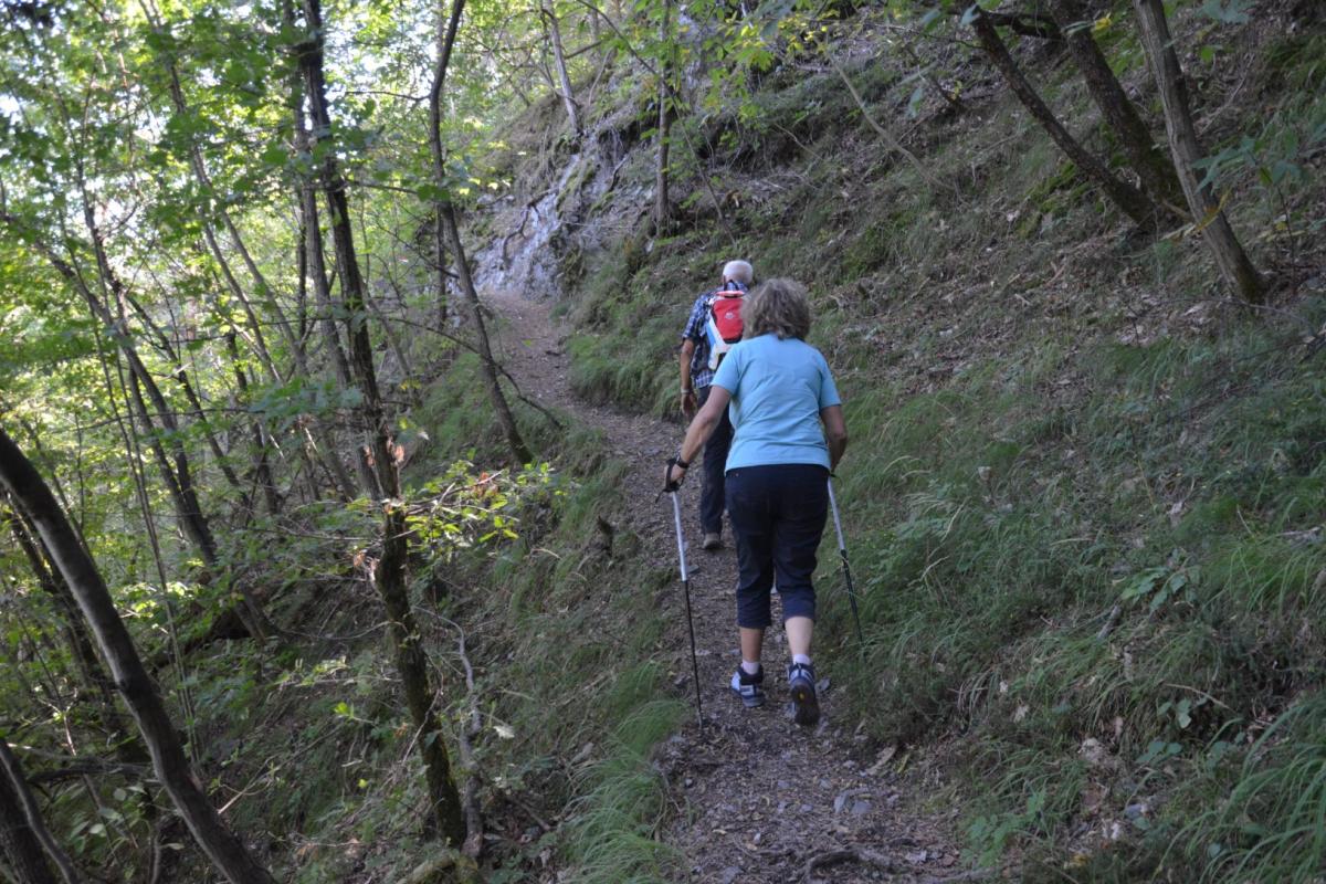 Rielingerhof 03.09.2019